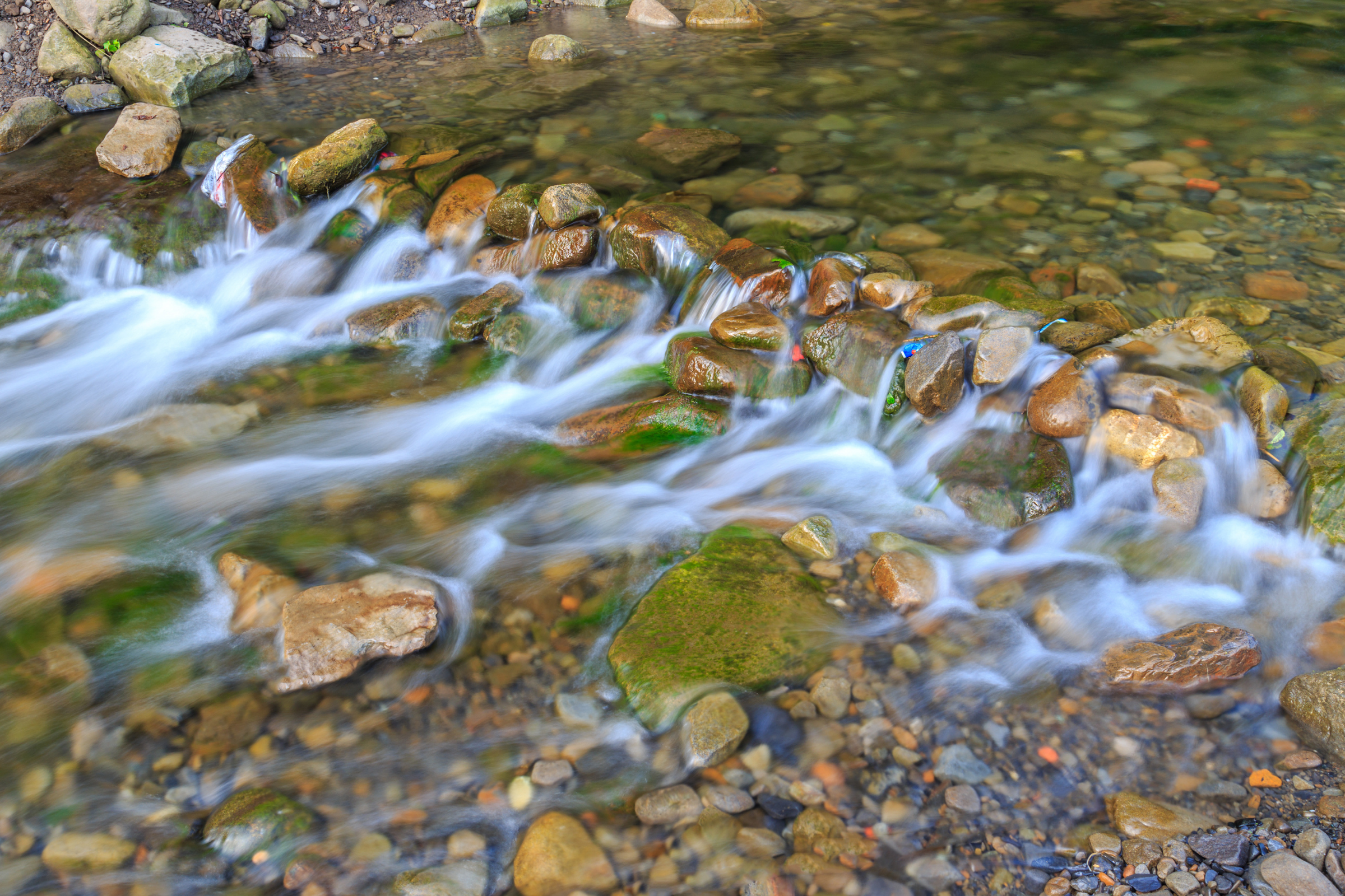brookes bay (2).webp
